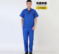 大连猫咪视频APP官网供应商