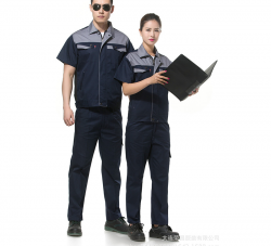 大连夏装猫咪视频APP官网