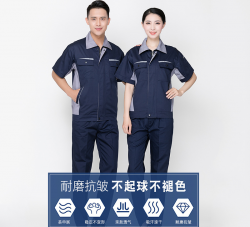 猫咪视频APP官网