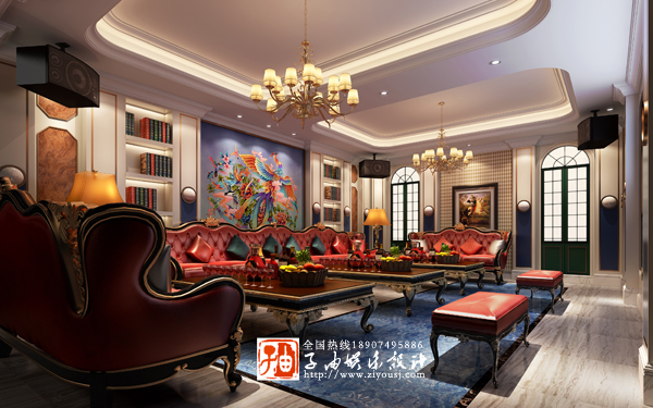 猫咪在线视频設計