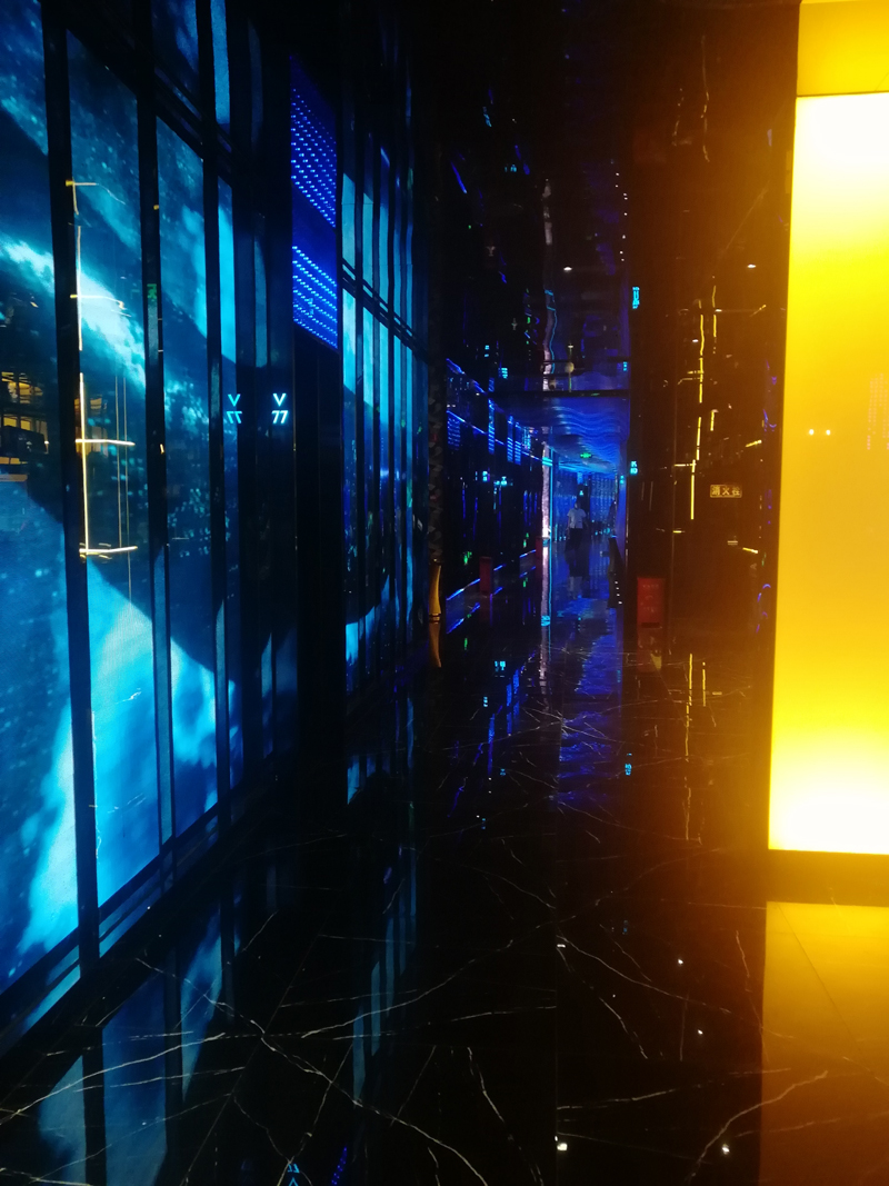 猫咪在线视频設計公司 猫咪在线视频設計公司