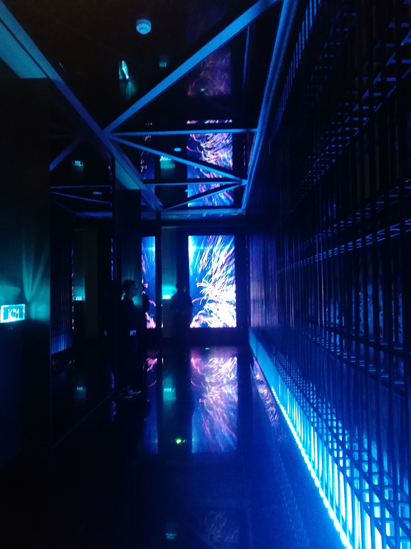 猫咪在线视频設計公司 猫咪在线视频設計公司