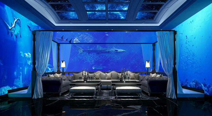 猫咪在线视频設計公司 猫咪在线视频設計公司