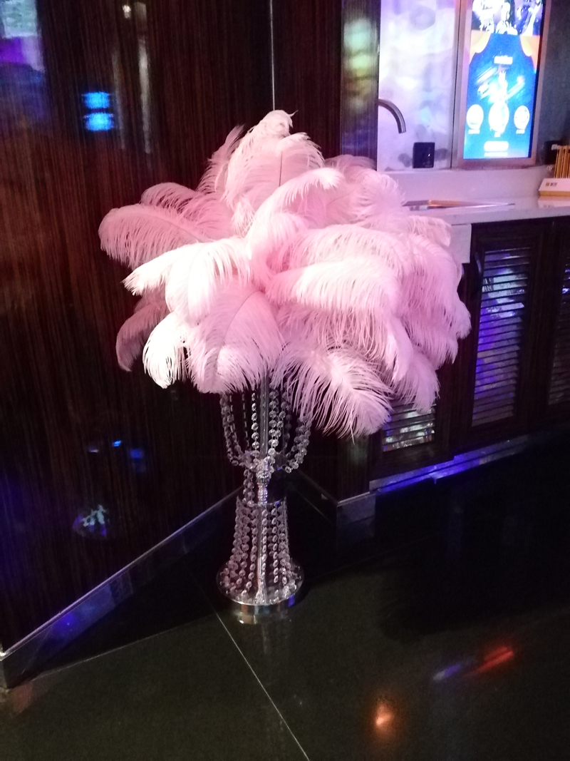 派對猫咪在线视频設計 派對猫咪在线视频設計